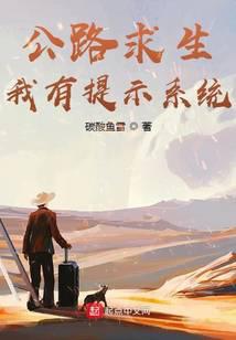 Survival on the road, I have a prompt system